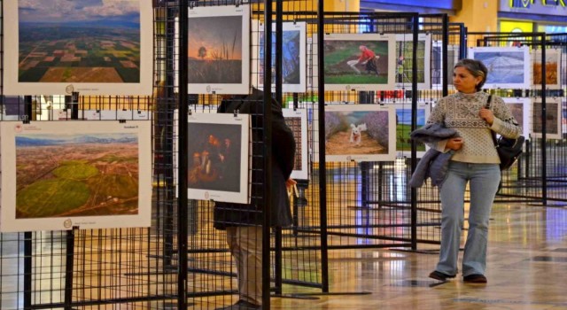 14. Uluslararası Tarım, Orman ve İnsan Fotoğraf Yarışmasına başvurular başladı