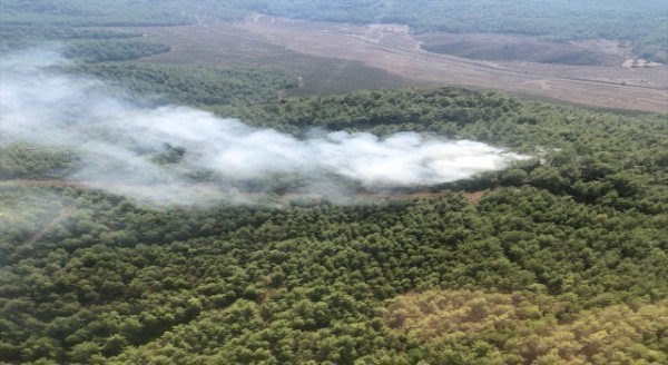 Muğla’da çıkan orman yangını söndürüldü