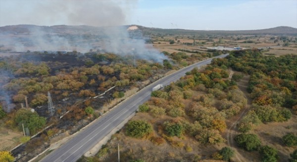 Edirne’de sınır kapısı yolu kenarında başlayıp ağaçlık alana sıçrayan yangın söndürüldü