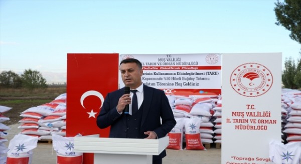 Muş’ta çiftçilere 595 ton sertifikalı buğday tohumunun dağıtımına başlandı