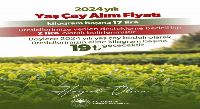 2024 yılı için kilogram başı yaş çay alım fiyatı 17 lira olarak belirlendi