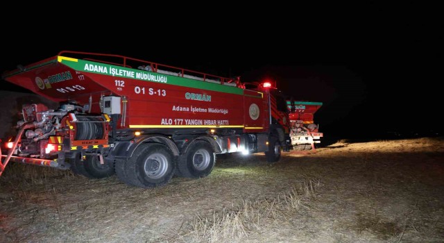 Adanada anız yangını ormana sıçradı, yangın kontrol altına alındı