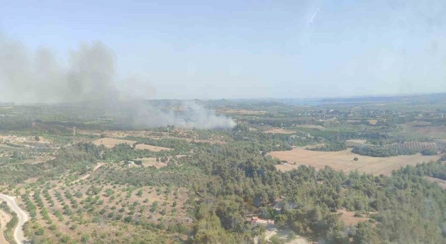 Adanada çıkan orman yangını kontrol altına alındı