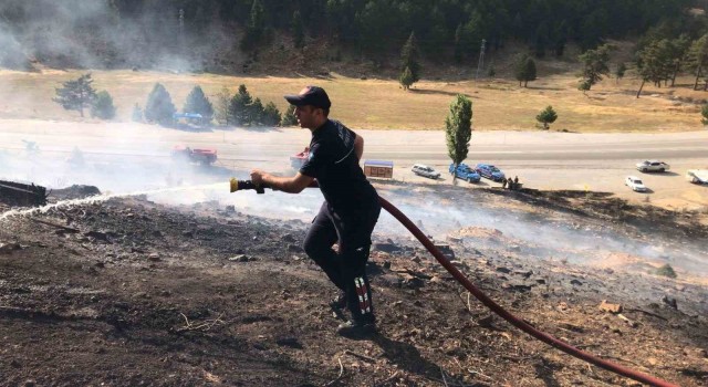 Antalyada yangın kızılçam ormanına sıçramadan söndürüldü