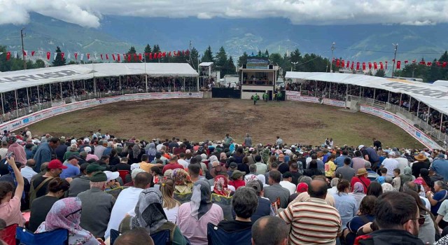 Artvinin Kafkasör Yaylasında boğaların 43. randevusu nefes kesti