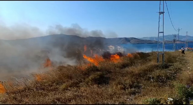 Avşada arazi yangını yürekleri ağıza getirdi