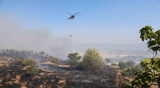 Aydında çıkan yangın üniversite kampüs alanına doğru ilerliyor