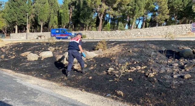 Ayvacıkta yangının ilk çıktığı noktada jandarma incelemelerde bulundu