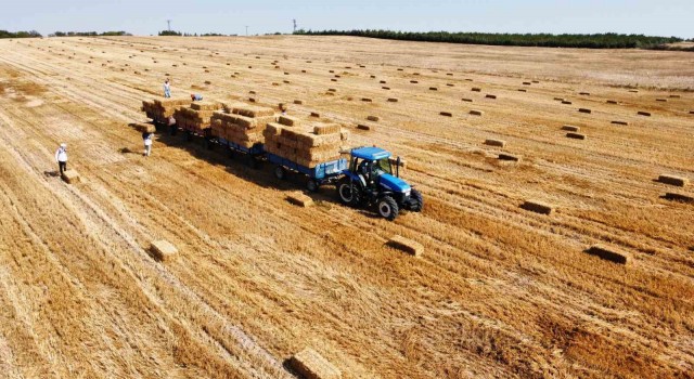 Babaeskide balya işçilerinin 38 derece sıcaklıkta zorlu mesaisi