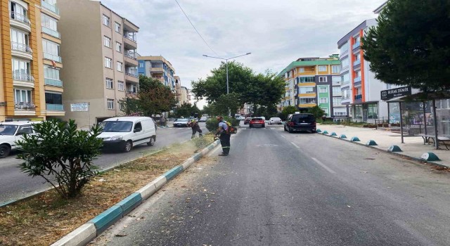 Başkan Nallar: Herkes üstüne düşeni yapsın, şehrimize hep birlikte sahip çıkalım