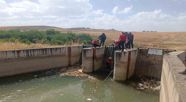 Batmanda 114 kişilik ekip 5 gündür kayıp Suriyeli çobanı arıyor