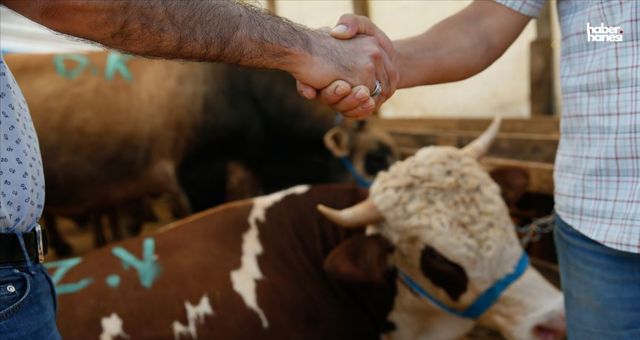 2024 Kurban Bayramı Ne Zaman? Kurban Bayramı'nın Önemi