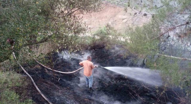 Belende ormanlık alanda çıkan yangın söndürüldü