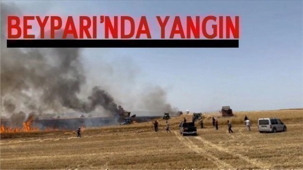 Beypazarı'nda Ekili Tarlada Yangın Çıktı