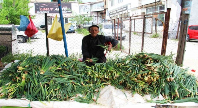 Binboğa Dağından çiriş toplayıp satıyor