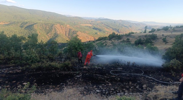 Bingöldeki orman yangını büyümeden söndürüldü