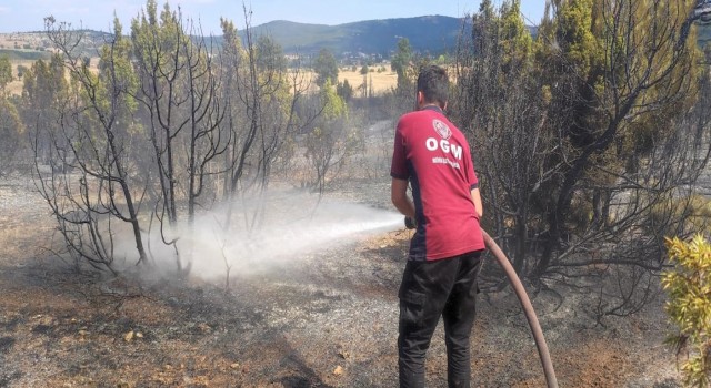 Bozüyükte çıkan anız yangını ormanlık alana sıçramadan söndürüldü