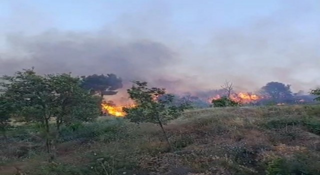 Buldanda orman yangını büyümeden söndürüldü