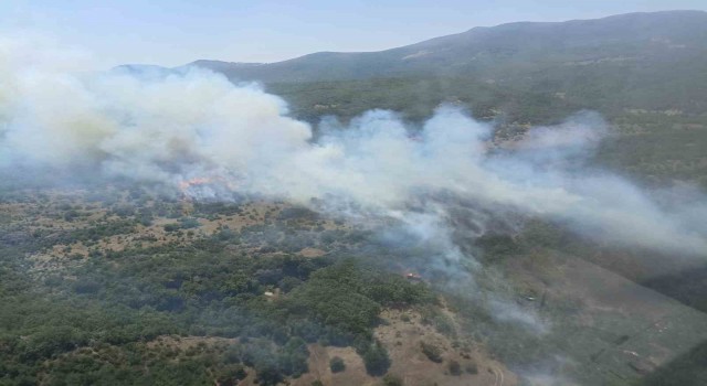 Bursada orman yangınına havadan ve karadan müdahale sürüyor