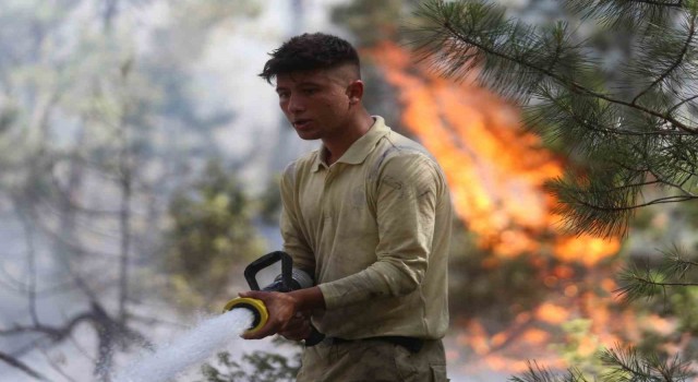 Bursada ormanlara girişler 1 Ekim tarihine kadar yasaklandı