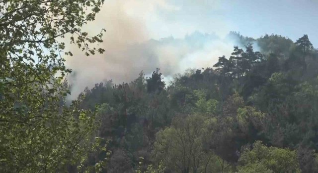 Bursada ormanlık alanda çıkan yangın kontrol altına alındı