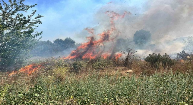 Bursada otluk alanda çıkan yangın büyümeden söndürüldü