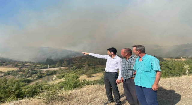 Bursadaki orman yangınına havadan müdahale sürüyor