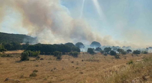 Çanakkalede alevlerin tehdit ettiği köy boşaltıldı