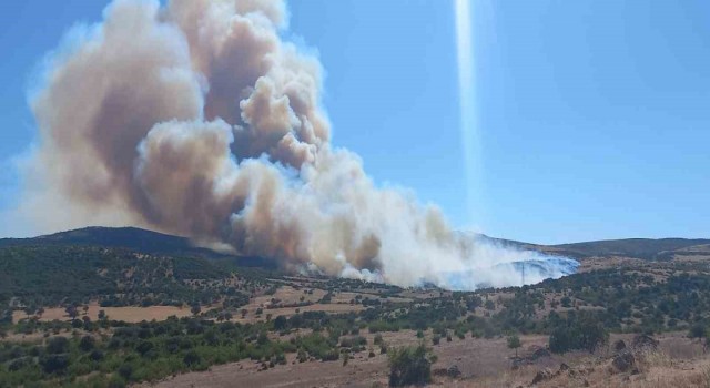 Çanakkalede çöplükte başlayan yangın ormanlık alana sıçradı