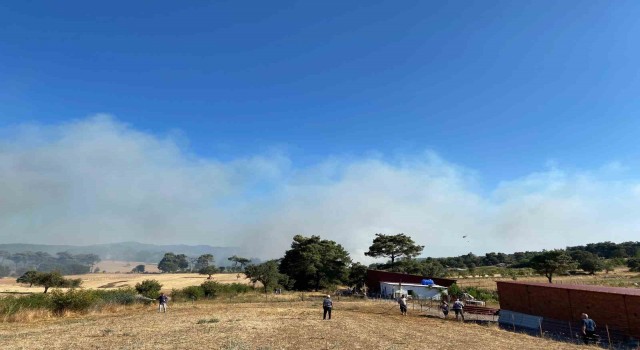 Çanakkalede orman yangını: Havadan ve karadan müdahale ediliyor