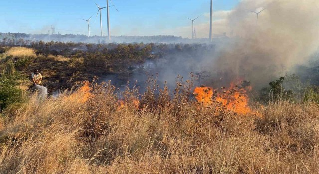 Çanakkalede tarım arazisinde çıkan yangın ormanlık alana sıçradı