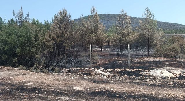 CHP İl Başkanı Ateş’ten Anız Yakma Uyarısı: 