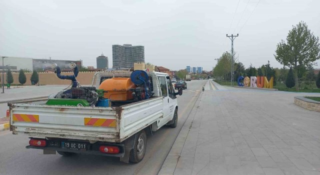 Çorumda bu sene vektörel mücadeleye erken başlandı