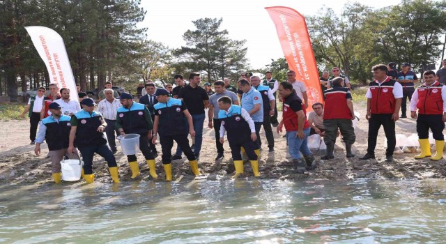 Damsa Barajına 350 bin yavru balık bırakıldı