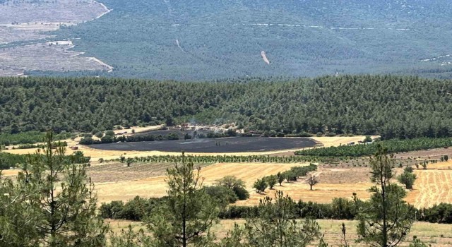 Denizlide ormana yakın bölgede çıkan yangın söndürüldü