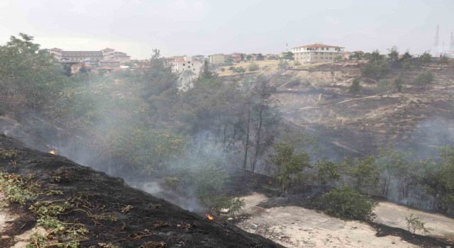 Denizlideki orman yangınına  havadan ve karadan müdahale ediliyor