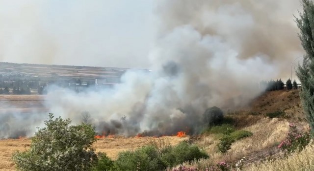 Diyarbakırda 300 dönüm ekili buğday yandı