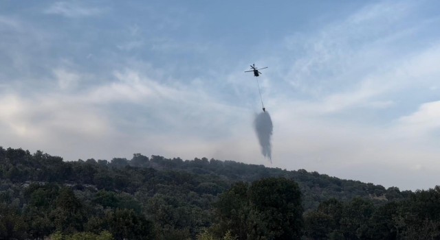 Diyarbakırdaki orman yangınları helikopter desteğiyle kontrol altına alındı