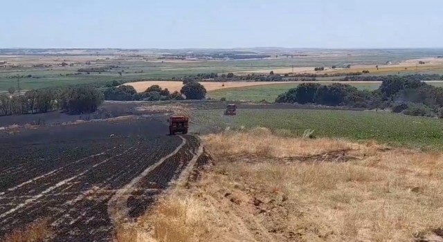 Edirnede tarım arazisinde başlayan yangın ormana sıçramadan kontrol altına alındı