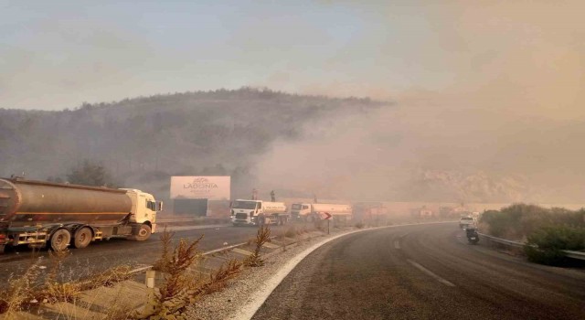 Efeler Belediyesinden yangın söndürme çalışmalarına destek