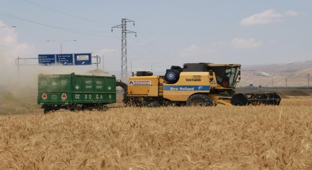 Erzincanda hububat tarlalarında hasat başladı