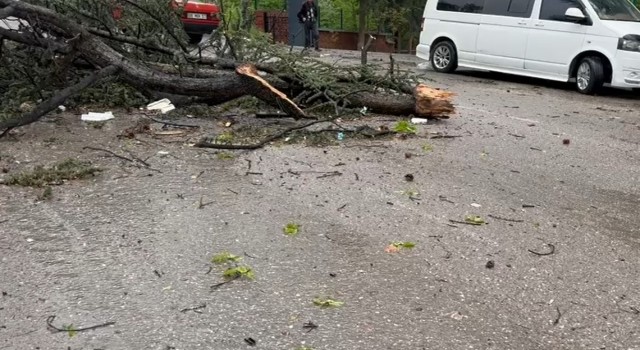 Fırtına Çankırıda hayatı felç etti: Çatılar uçtu, ağaçlar devrildi