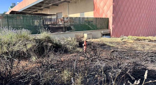 Gaziantep Primemall AVMde korkutan yangın