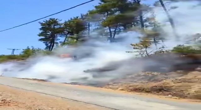 Gazipaşada ormanlık alanda çıkan yangın büyümeden söndürüldü