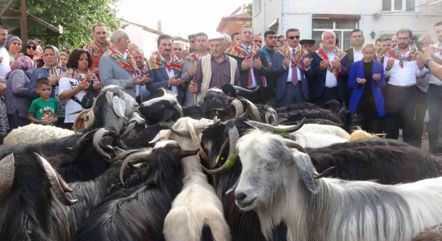 Ispartada 400 yıldır süren Geleneksel Kurban İndirme Geleneği gerçekleştirildi