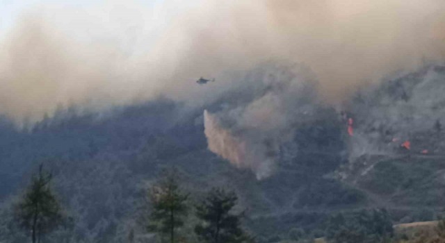 İzmir Valisi Elban: Yangında 7 ev hasar gördü