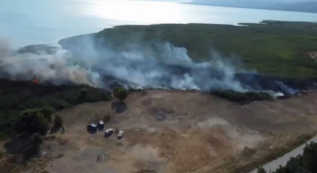 İznik Gölünde sazlık yangını