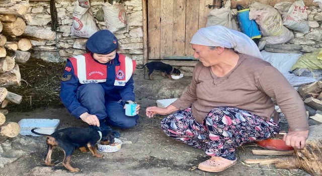 Jandarmadan sokak hayvanları için ‘Bir gün değil, her gün mesajı