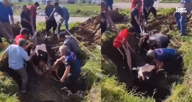 Kahramanmaraş'ta Kuyuya Düşen İneği İtfaiye Ekipleri Kurtardı