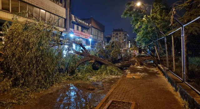 Kayseride şiddetli rüzgar ağaçları devirdi, vatandaşlar yolda mahsur kaldı